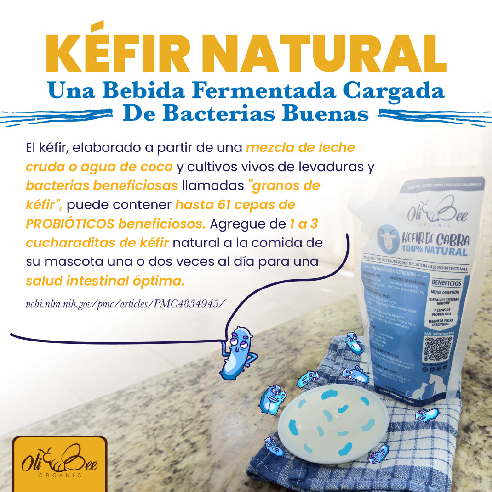 Kéfir de Cabra