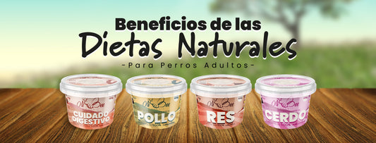 Beneficios de las Dietas Olibee Organic